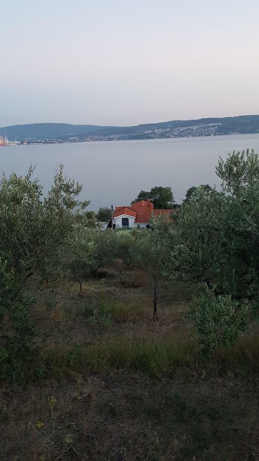 Sea View Apartments Debeli Rtic Ankaran Exteriér fotografie